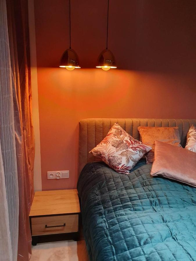 Apartament 3 Pokojowy Lub Pokoj W Mieszkaniu W Nowym Bloku 华沙 外观 照片