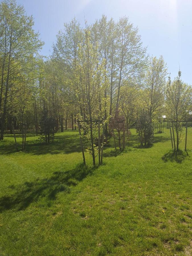 Apartament 3 Pokojowy Lub Pokoj W Mieszkaniu W Nowym Bloku 华沙 外观 照片